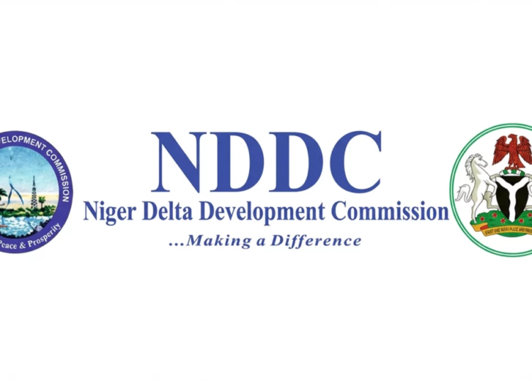 Niger Delta Development Commission NDDC