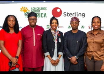 ‘Finance, Mechanisation, Post-harvest Losses Still Crippling Nigerian Farmers’