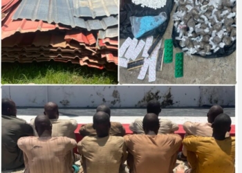 Zamfara NSCDC Nabs 9 Over School Vandalism, Arrests Chemist With Drugs