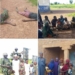 North West Troops Rescue 31 Kidnapped Victims, Kill 2 Terrorists In Katsina, Kebbi