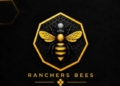 Ranchers Bees Switch Adopted Home Ground To Sani Abacha Stadium