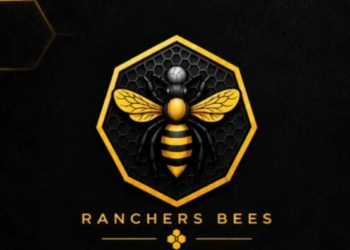 Ranchers Bees Switch Adopted Home Ground To Sani Abacha Stadium