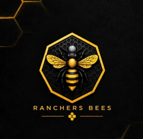 Ranchers Bees Switch Adopted Home Ground To Sani Abacha Stadium 1 Screenshot 20260916 123224 Google