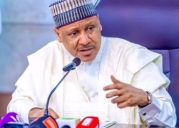 Tinubu’s Absence: Shettima Fully Mandated To Represent Nigeria — FG