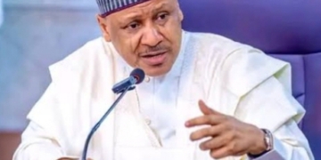 Tinubu’s Absence: Shettima Fully Mandated To Represent Nigeria — FG