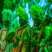 Festival Brings Canadian, Brazilian, Other Theatre Troupes  To Lagos