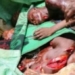 JUST-IN: 6 Killed As Fulanis Attack Kammuku Community In Niger