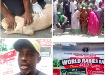 World Rabies Day: NVMA Seeks Concerted Effort To Eliminate Rabies In Zamfara