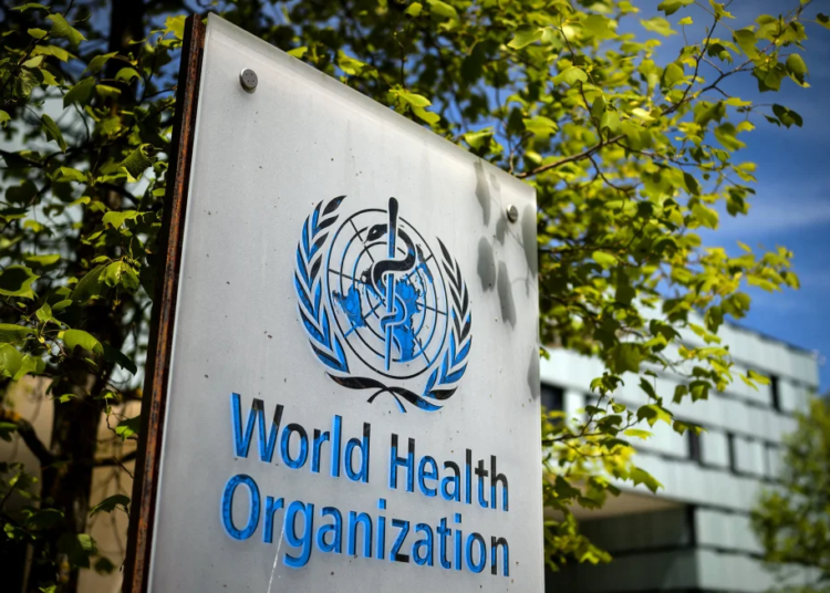 WHO Issues New Guidance On Heat-Related Illness At Mass Gatherings 1 WHO World Health Organization