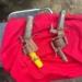 Police Nab Cult Leader, Recover Arms After Attacking Inspector In A/Ibom 4 Police Nab Cult Leader, Recover Arms After Attacking Inspector In A/Ibom