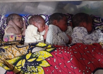 Woman Gives Birth To Quadruplets In Yobe