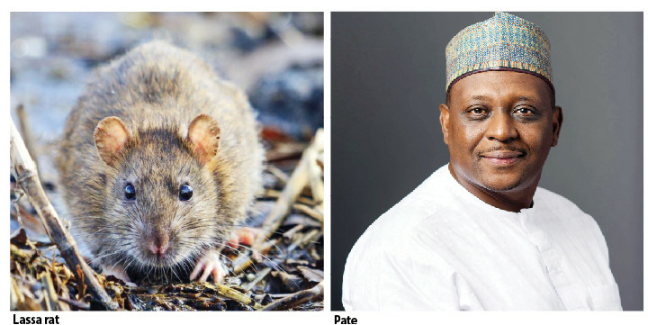 Preventable, Yet Deadly: Why Lassa Fever, Diphtheria Are Still Killing Nigerians 1 ali pate 1