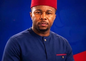 Lawmakers Must Make Independence Meaningful To Nigerians – Okechukwu