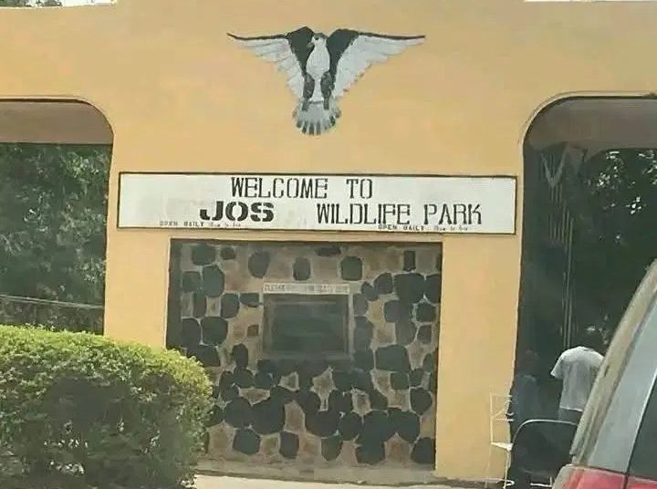 Mutilated Corpse Of Woman Found In Jos Wildlife Forest Reserve 1 e6e4eee6 a8f0 4c22 8d0a 23277ed75717