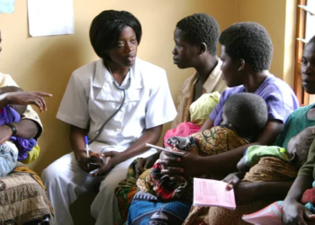 Amid Apathy, 73,949 Niger Women Access Family Planning Services