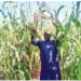 Jigawa, SASAKAWA Collaboration Uplifts Rural Farmers