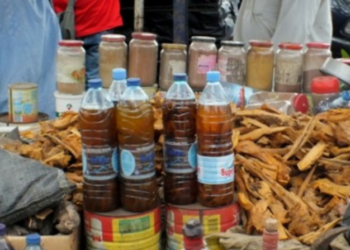 Police Arrest Suspected Producer Of Herbal Drink Linked To 29 Deaths In Ondo