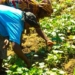 Varsity Don Wants Land Rights, Better Credit For Women Farmers