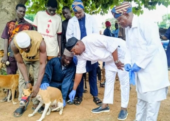 FCTA Targets 20,000 Dogs, Cats In FCT-Wide Rabies Vaccination Drive