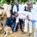 FCTA Targets 20,000 Dogs, Cats In FCT-Wide Rabies Vaccination Drive
