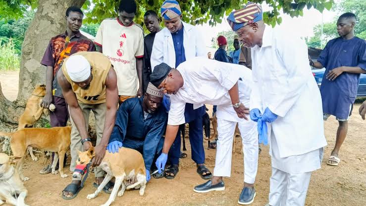 FCTA Targets 20,000 Dogs, Cats In FCT-Wide Rabies Vaccination Drive