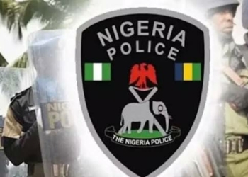 Family Urges Police To Release Findings On FESTAC Land Probe