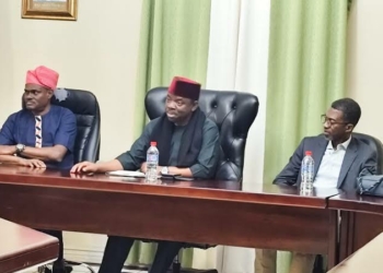 Nigeria To Seek African Solution To Xenophobic Attacks In South Africa — Envoy