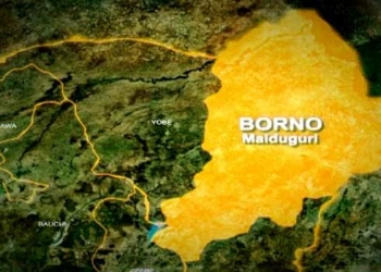 Borno School Enrollment Hits 1.8m Despite Insurgency – Report