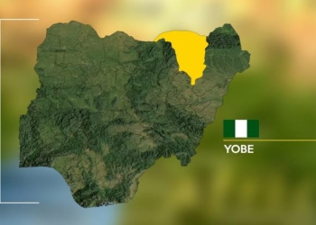 Yobe Launches Climate Working Group, Targets Resource Mobilisation
