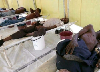 Lassa Fever Deaths: Experts Advocate Shift From Seasonal Campaigns To Continuous Prevention