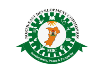 NEDC Trains Northeast Staff To Deepen Institutional Excellence