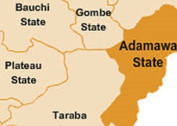 Adamawa Dep Gov Advocates  Curriculum Devt That Grows With Learners
