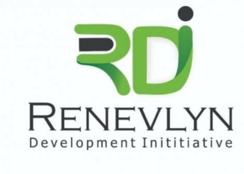 RDI Demands Probe Into Niger Deaths