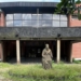 Okpebholo Returns EMOWA, Cultural Centre To Oba 5 Okpebholo Returns EMOWA, Cultural Centre To Oba