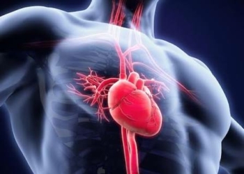 World Heart Day: Awareness, Early Screening Key To Preventing Heart Disease