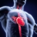 World Heart Day: Awareness, Early Screening Key To Preventing Heart Disease