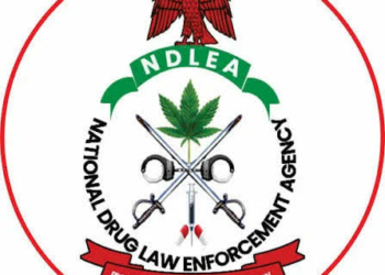 NDLEA Busts Nigerian-Mexican Cartel, Uncovers Meth Lab In Enugu