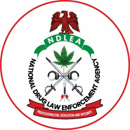 NDLEA Busts Nigerian-Mexican Cartel, Uncovers Meth Lab In Enugu 1 NDLEA Busts Nigerian-Mexican Cartel, Uncovers Meth Lab In Enugu