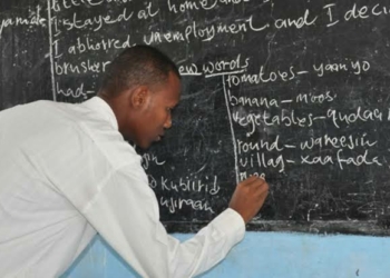 How To Apply For FG’s Teacher Professionalisation Programme Before September 18