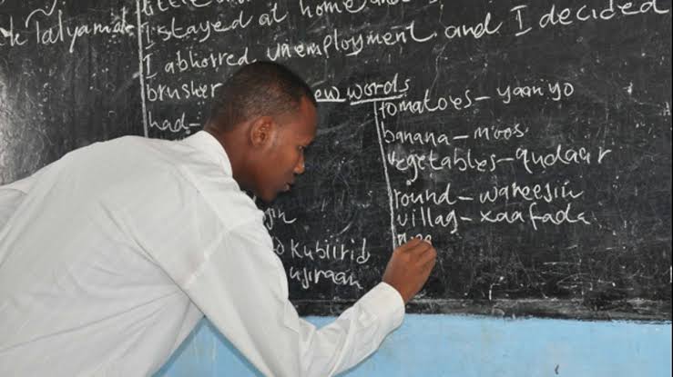 How To Apply For FG’s Teacher Professionalisation Programme Before September 18