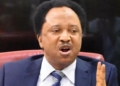 Shehu Sani Mocks Obi Over Makinde Campaign, Says ‘Peter Is Selling Pepsi, Promoting Coke’