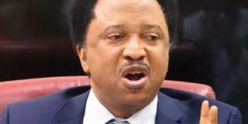 Shehu Sani Mocks Obi Over Makinde Campaign, Says ‘Peter Is Selling Pepsi, Promoting Coke’
