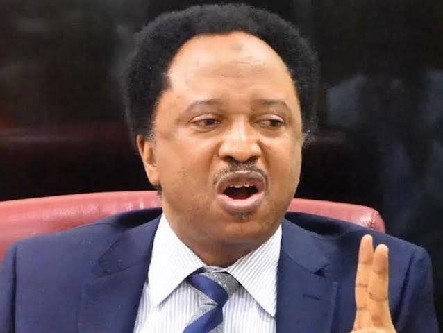 Shehu Sani Mocks Obi Over Makinde Campaign, Says ‘Peter Is Selling Pepsi, Promoting Coke’