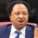Shehu Sani Mocks Obi Over Makinde Campaign, Says ‘Peter Is Selling Pepsi, Promoting Coke’