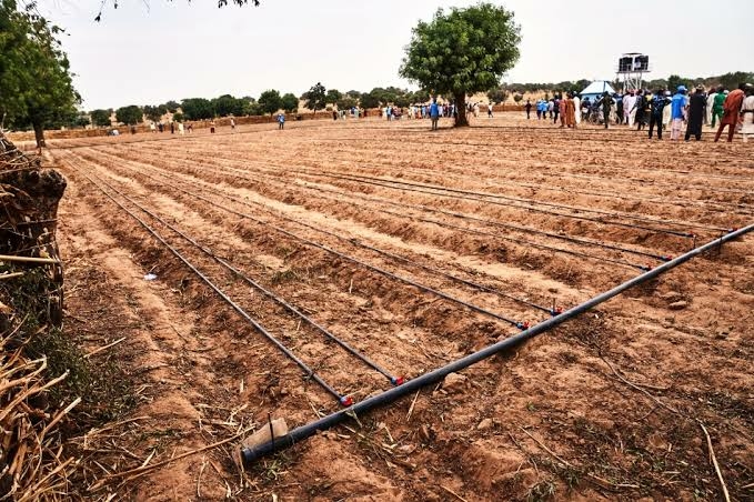 River Basin Authority Empowers 1,000 Youths As Irrigation Champions In Kano, Others 1 irrigation farming
