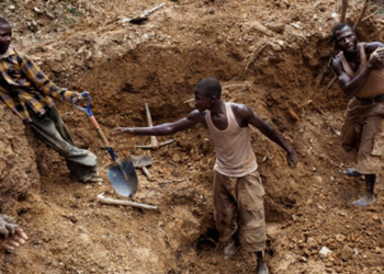niger miners