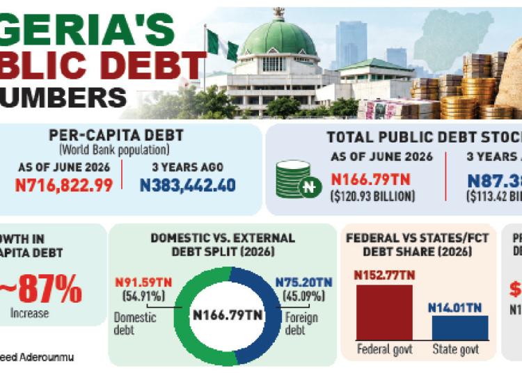 nigerias debt