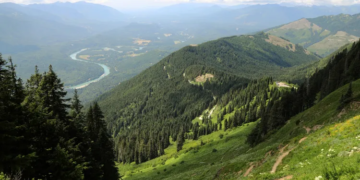 66-Year-Old Hiker Dies After Falling 1,000ft From Mountain Trail In US 2 66-Year-Old Hiker Dies After Falling 1,000ft From Mountain Trail In US