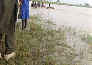 River Sweeps Away Two Children in Yobe, One Recovered