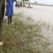 River Sweeps Away Two Children in Yobe, One Recovered 5 River Sweeps Away Two Children in Yobe, One Recovered